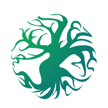 Pamphra Psychotherapy & Psychiatry